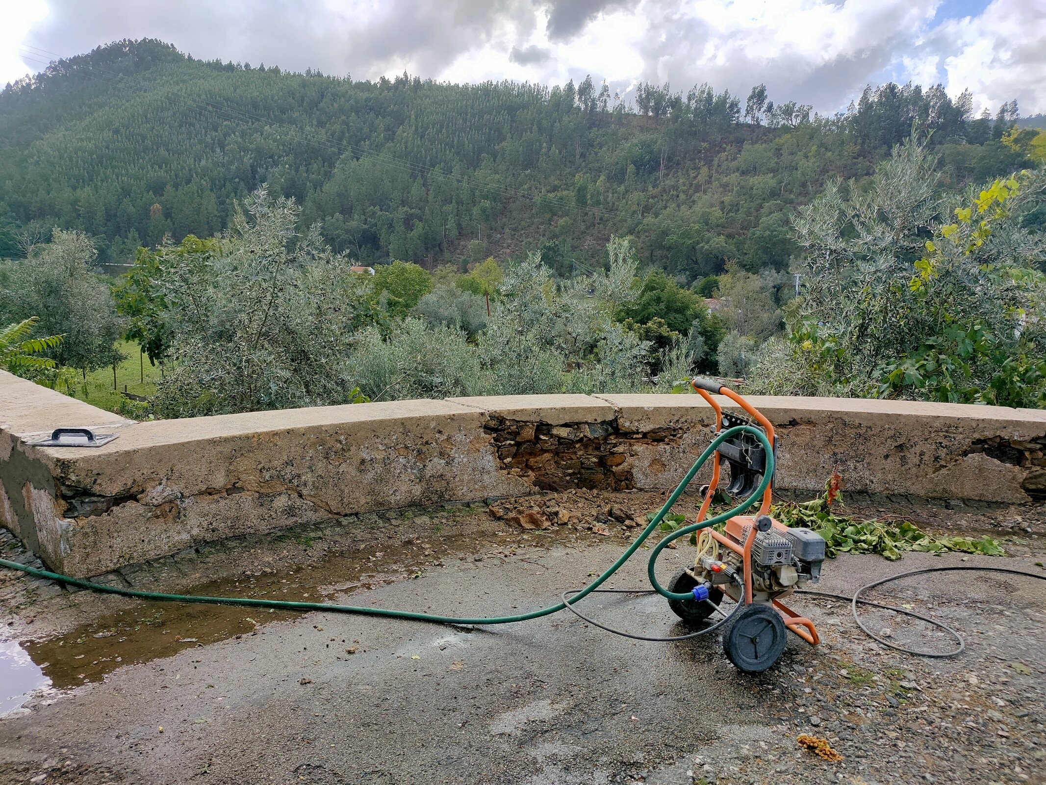 IMG20221017144532 (1)