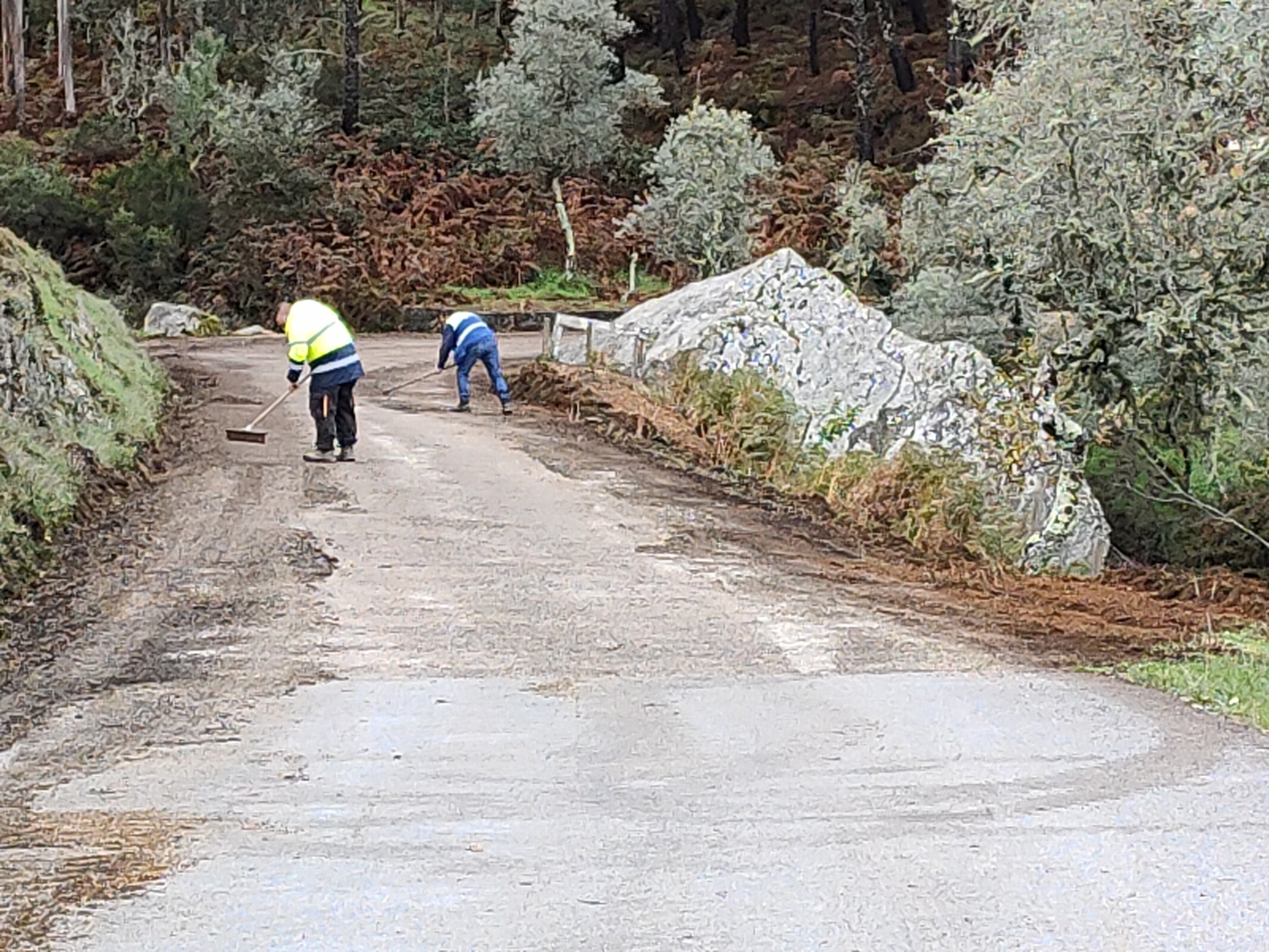 IMG20221109103408 (1)