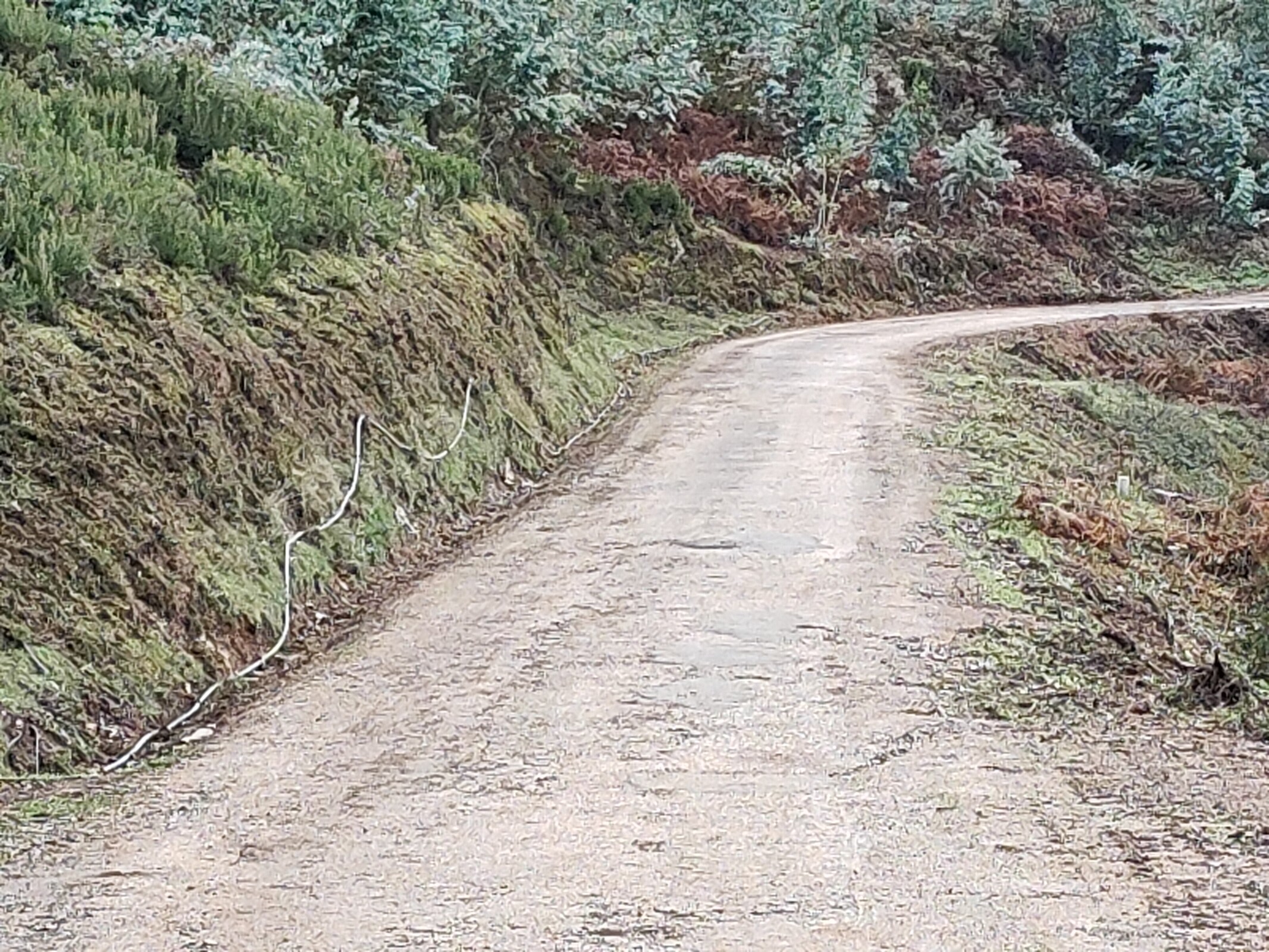 IMG20221109103950 (1)