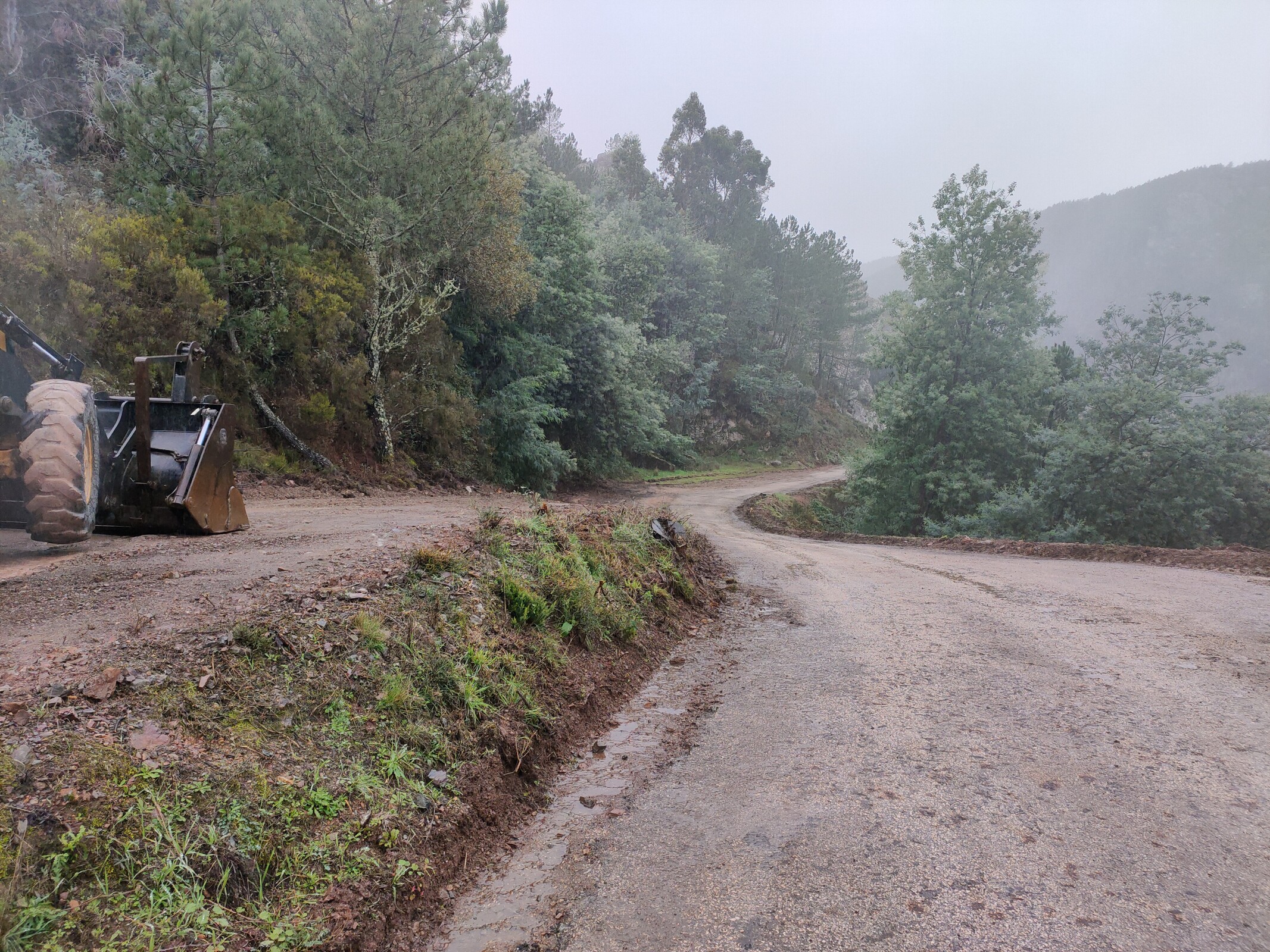 IMG20221115111513 (1)