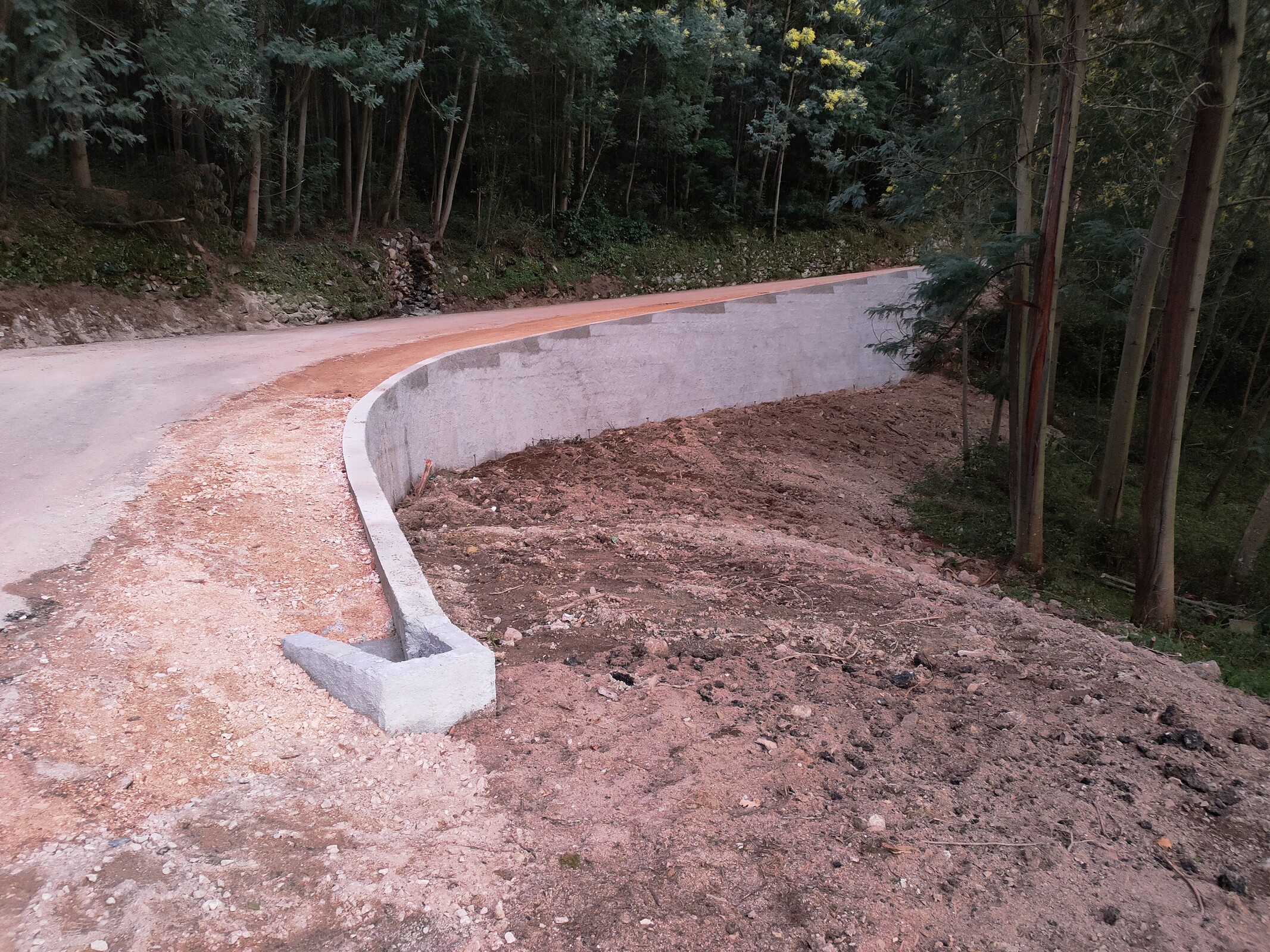 IMG20220225182523 (1)