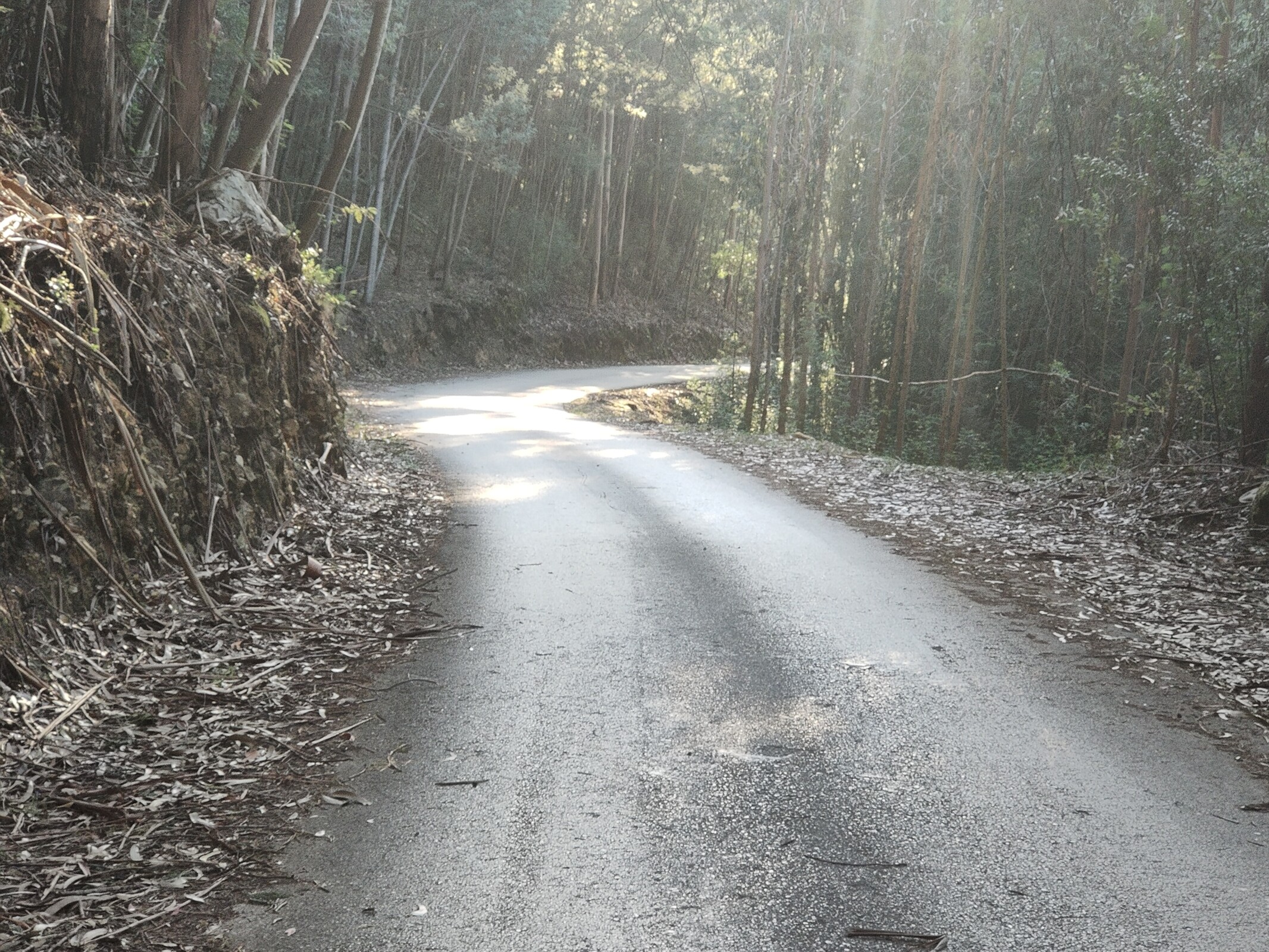 IMG20220510072325 (1)