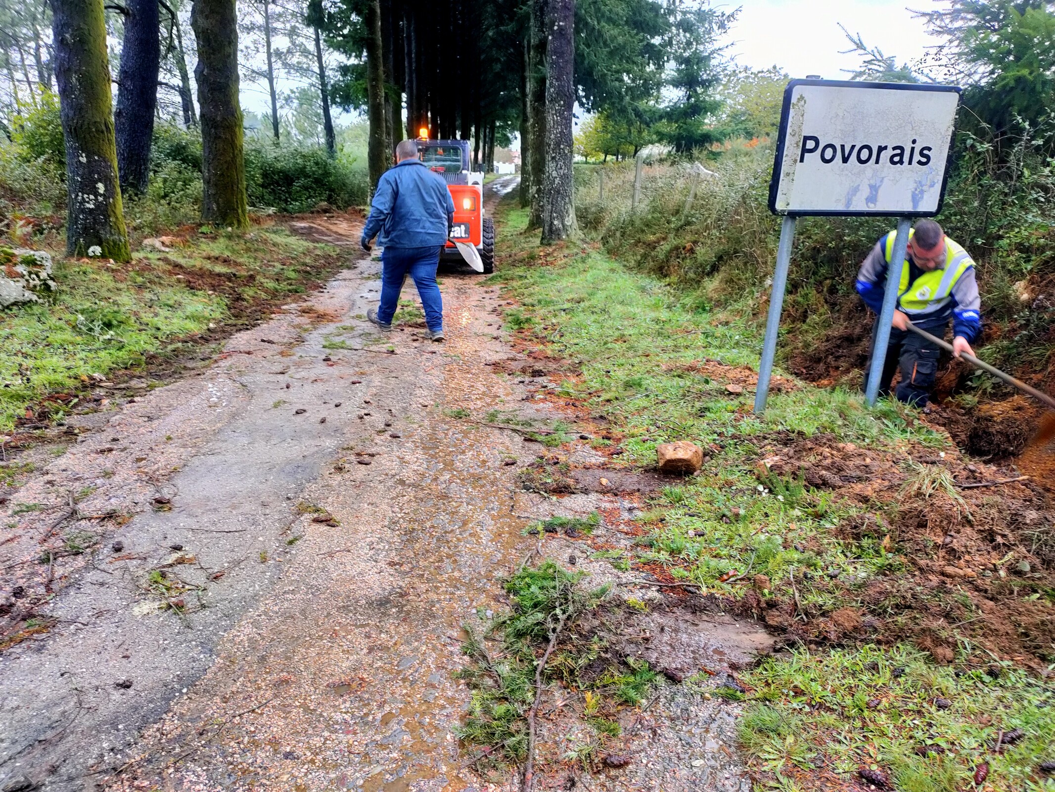 IMG20221024102947 (1)