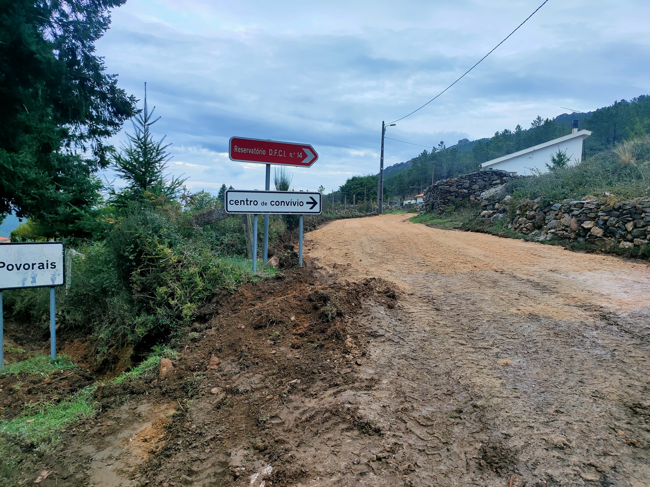 IMG20221024182133 (1)