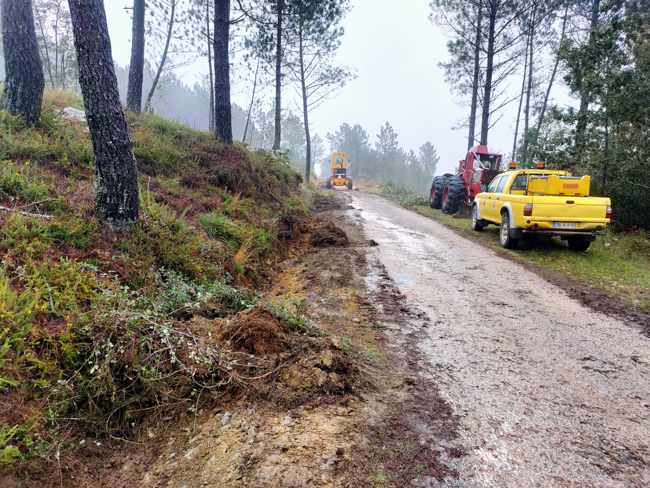 IMG20221024103637 (1)