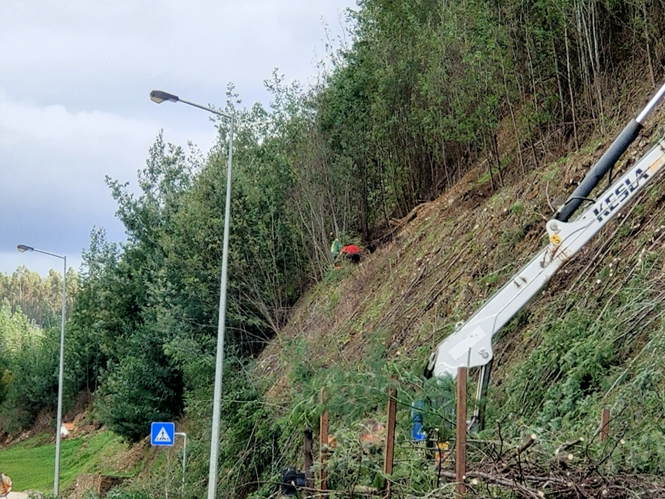 IMG20221027110546 (1)