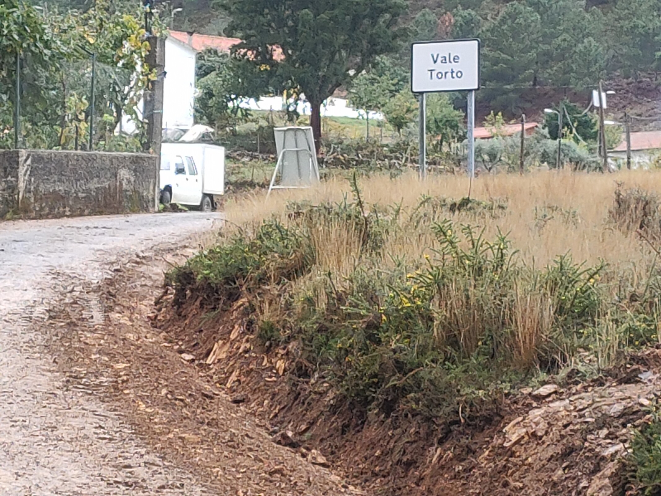 IMG20221024105957 (1)