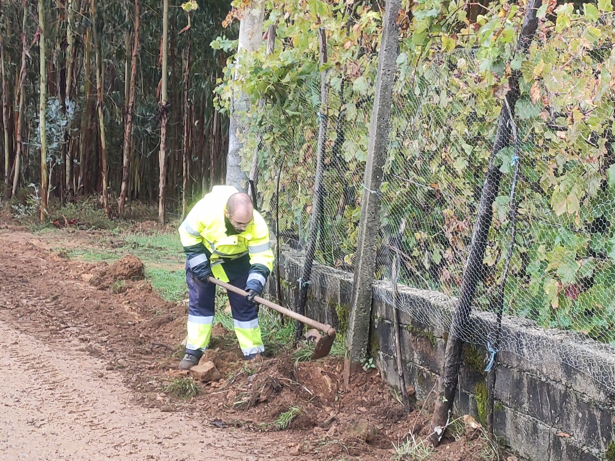 IMG20221024110147 (1)