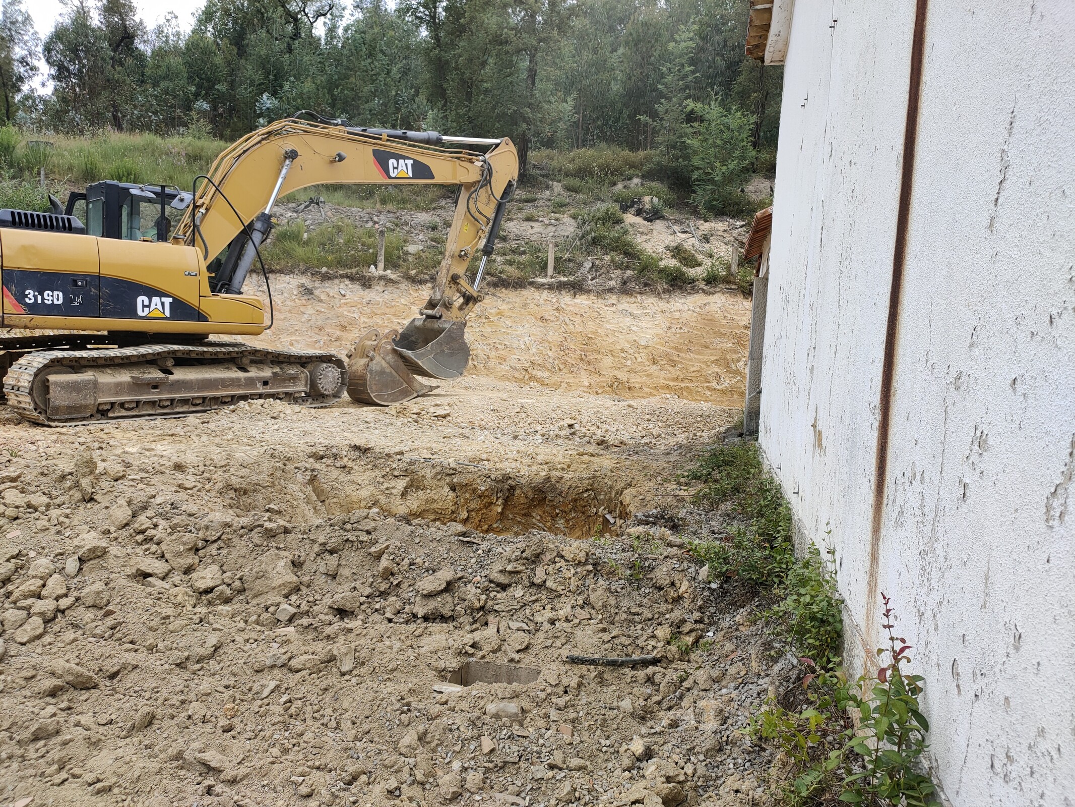 IMG20220530094211 (1)