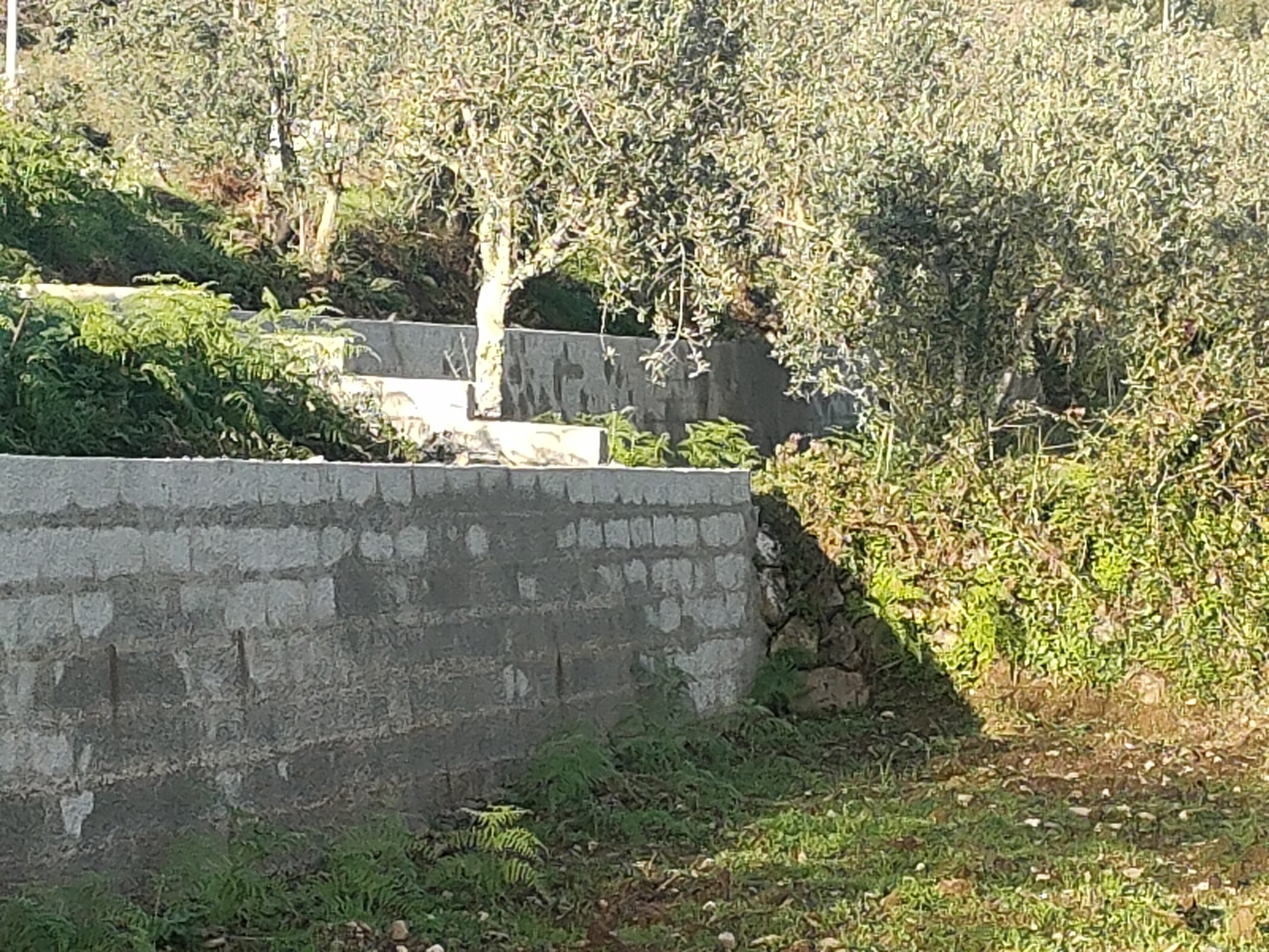 IMG20221118161323 (1)