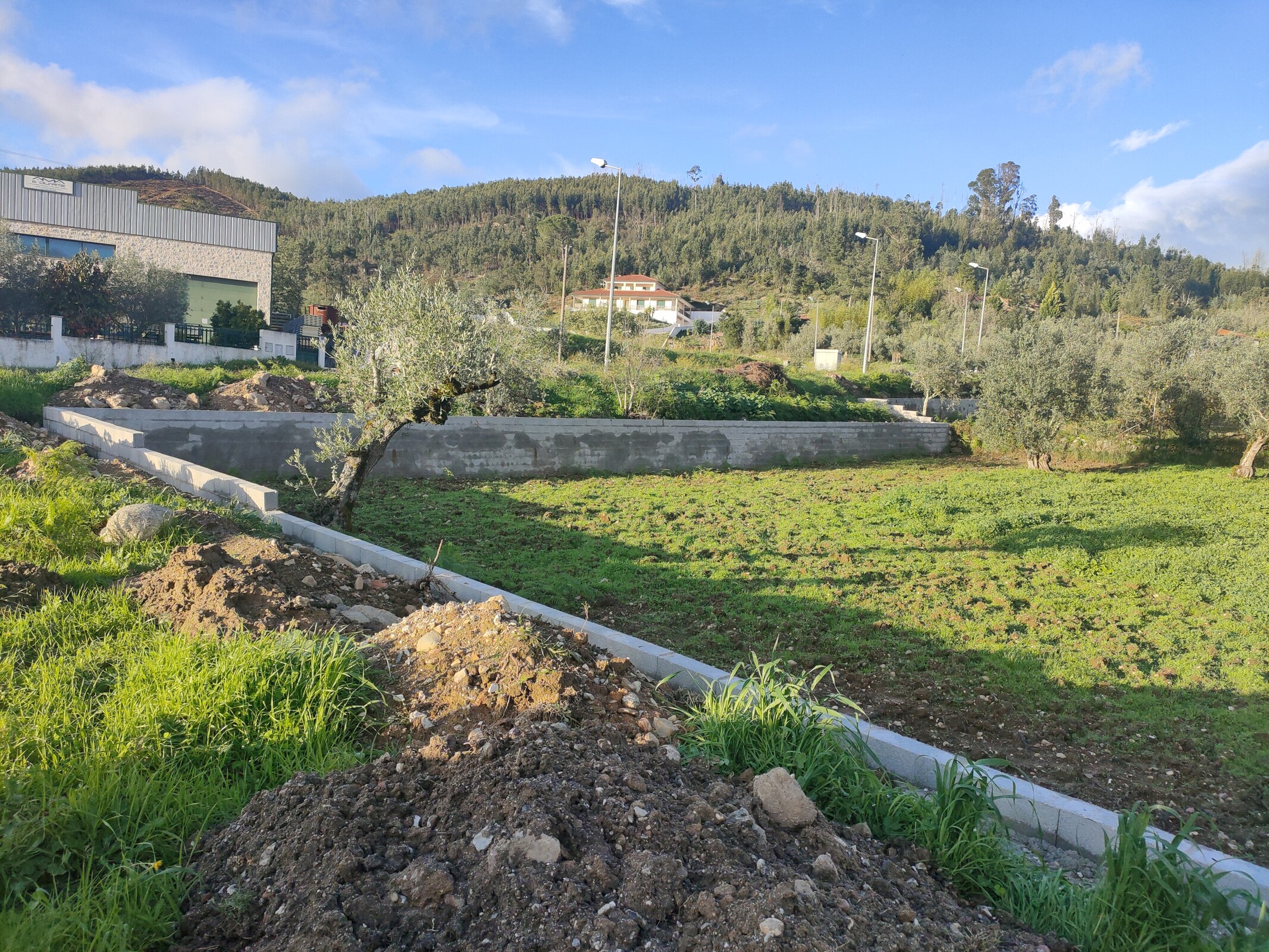 IMG20221118161250 (1)