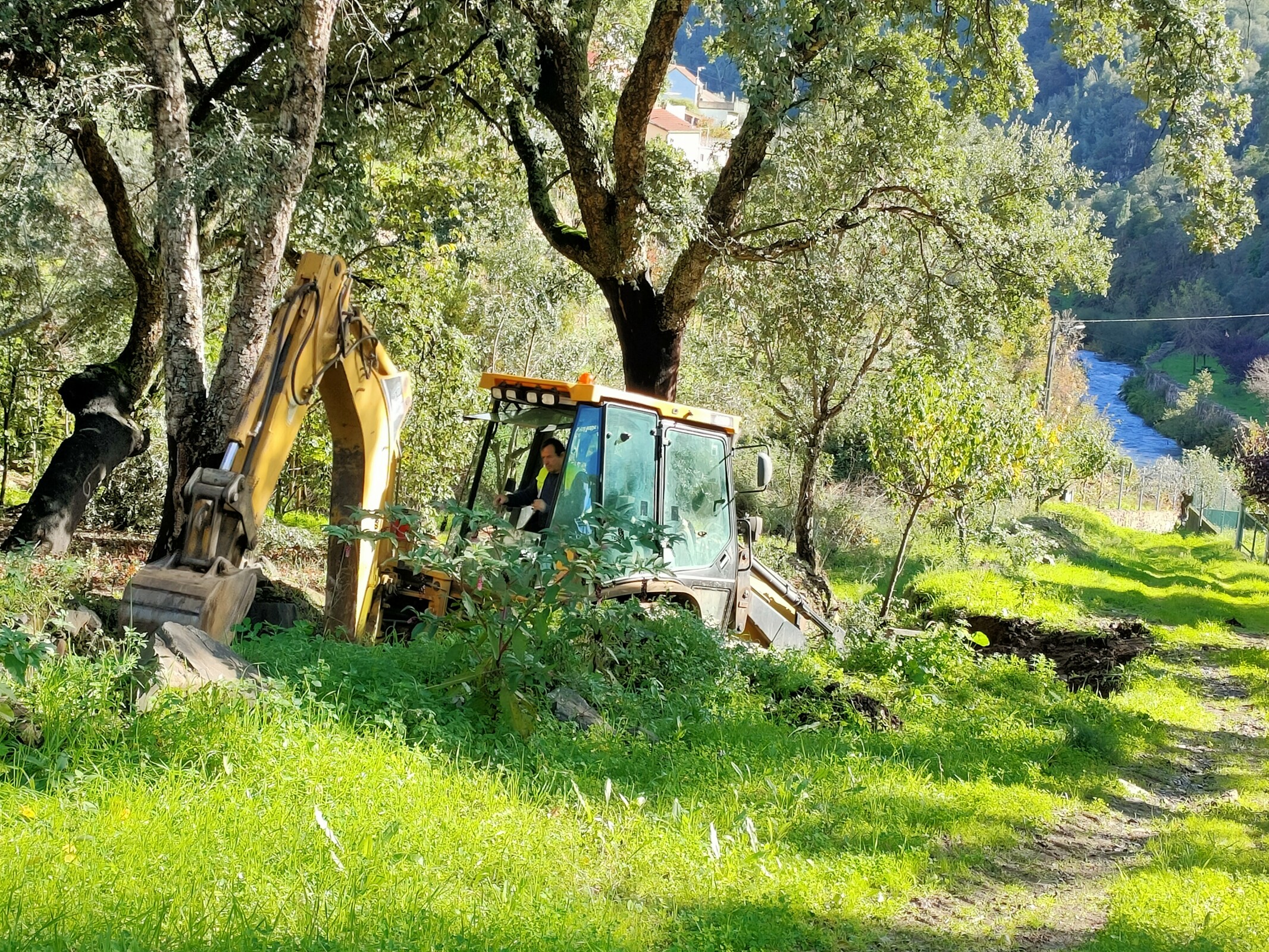 IMG20221118111137 (1)