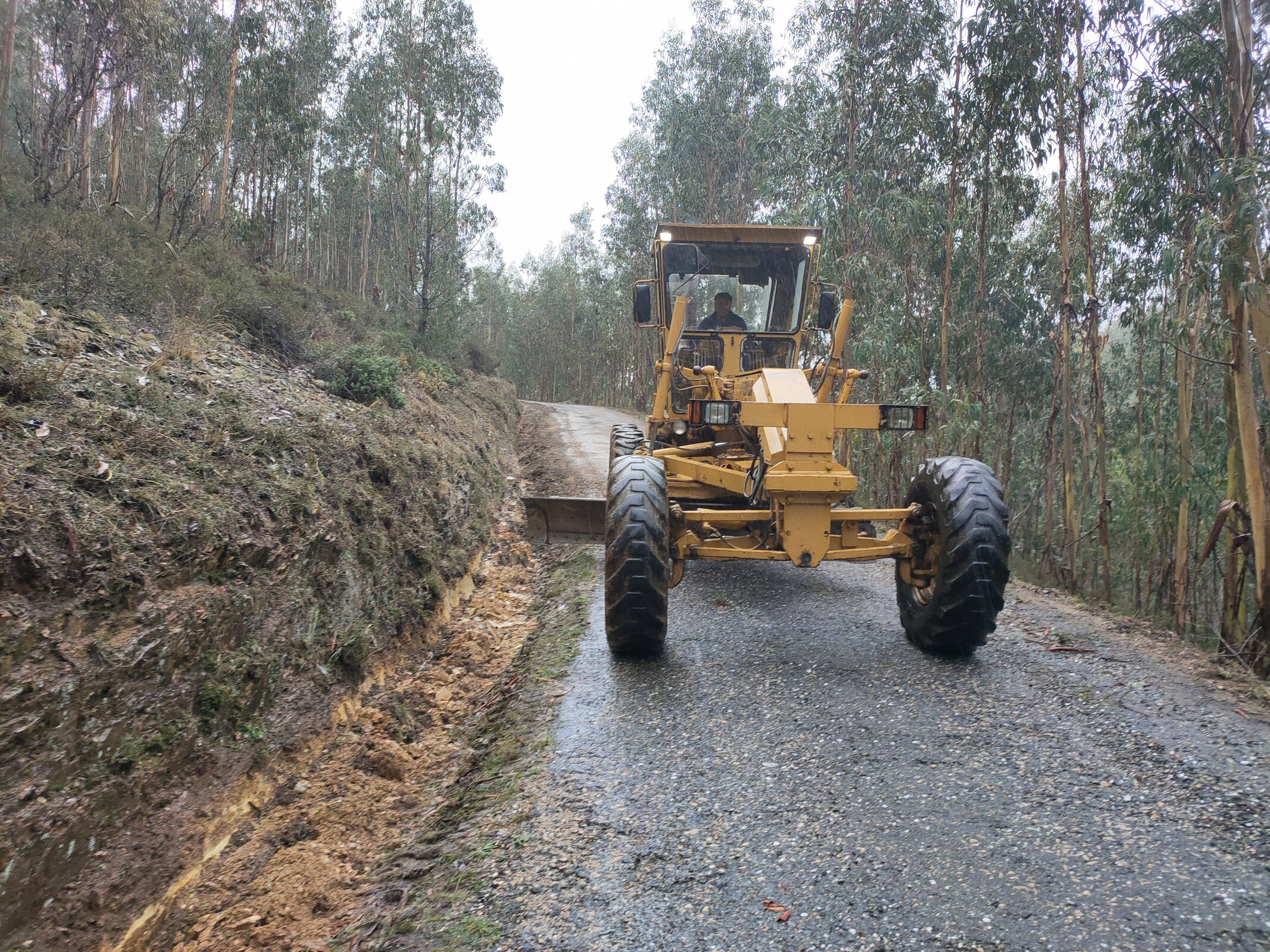 IMG20221115112832 (1)