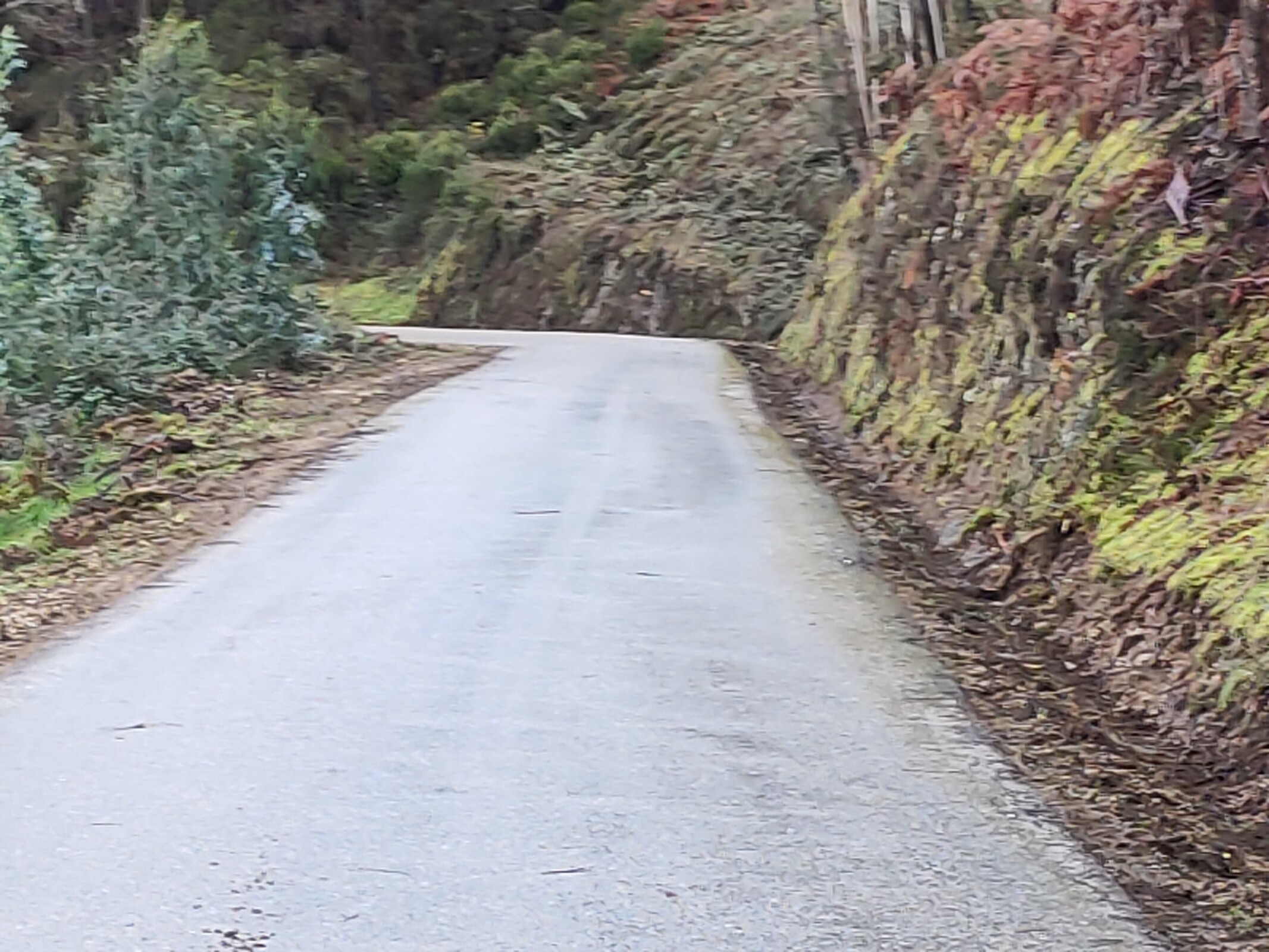 IMG20221220153002 (1)