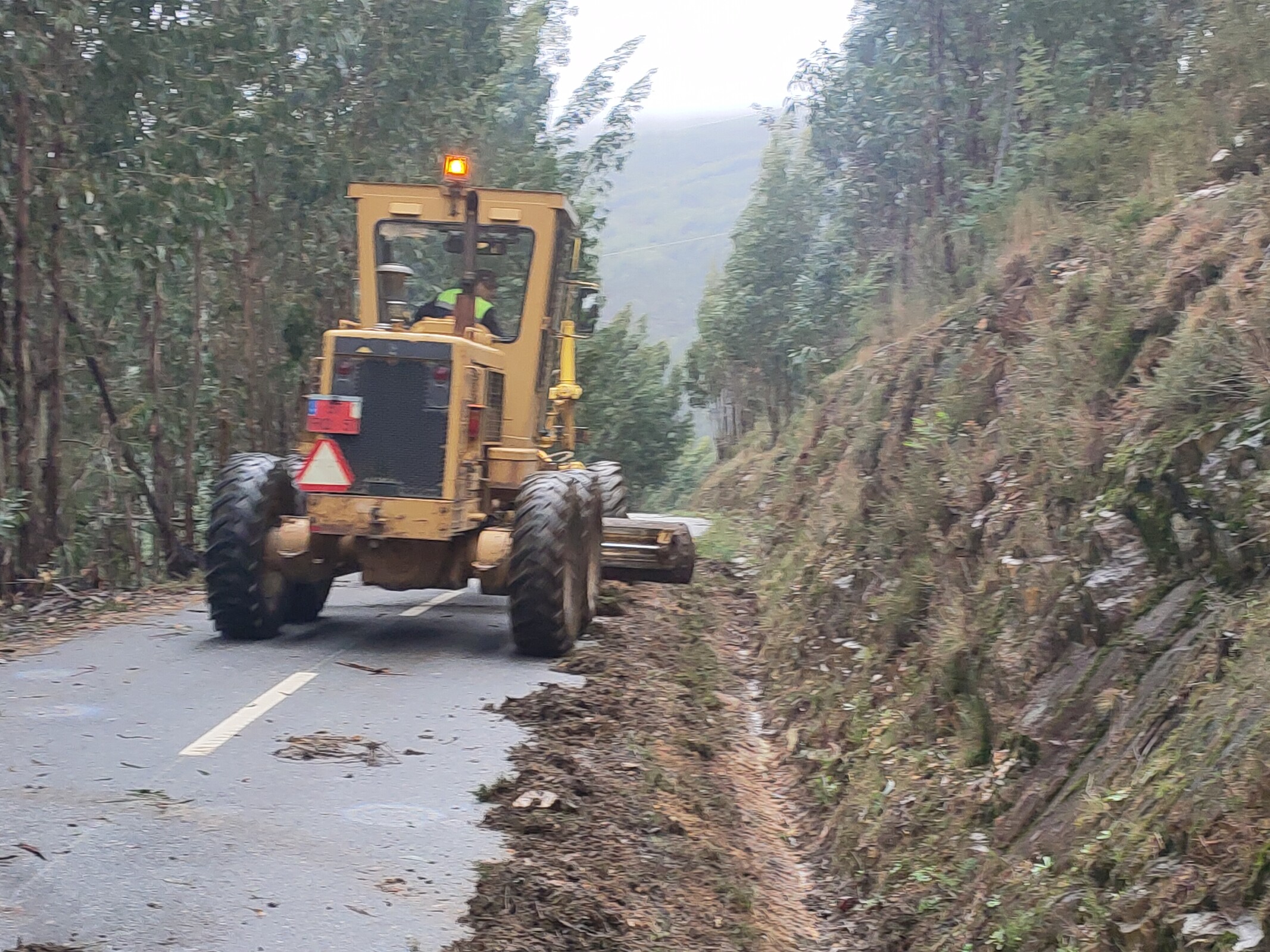 IMG20221122154905 (1)