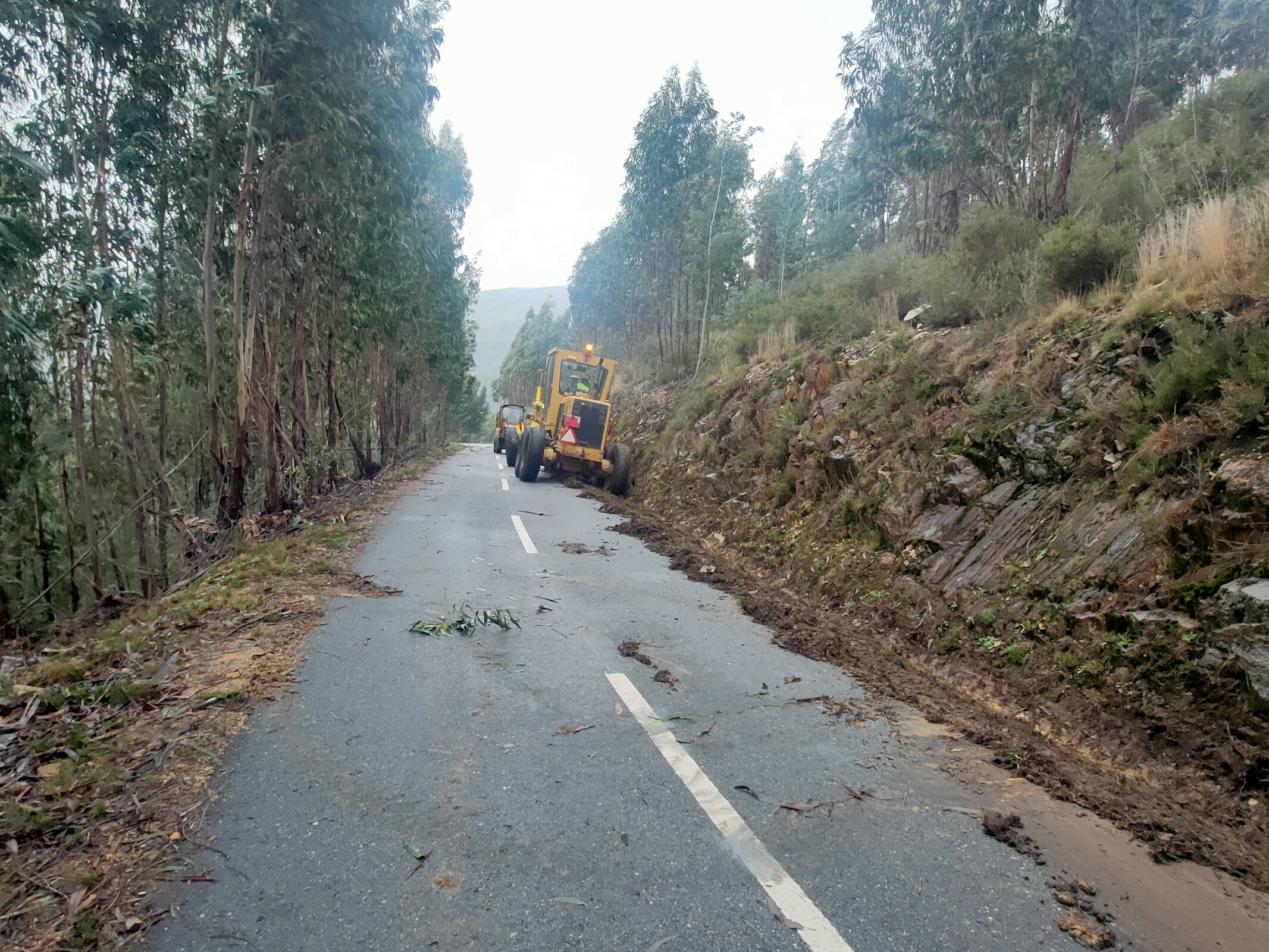 IMG20221122154840 (1)