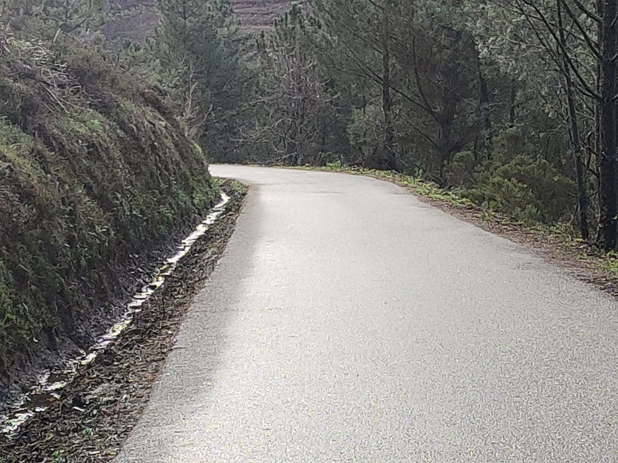 IMG20221220152857 (1)