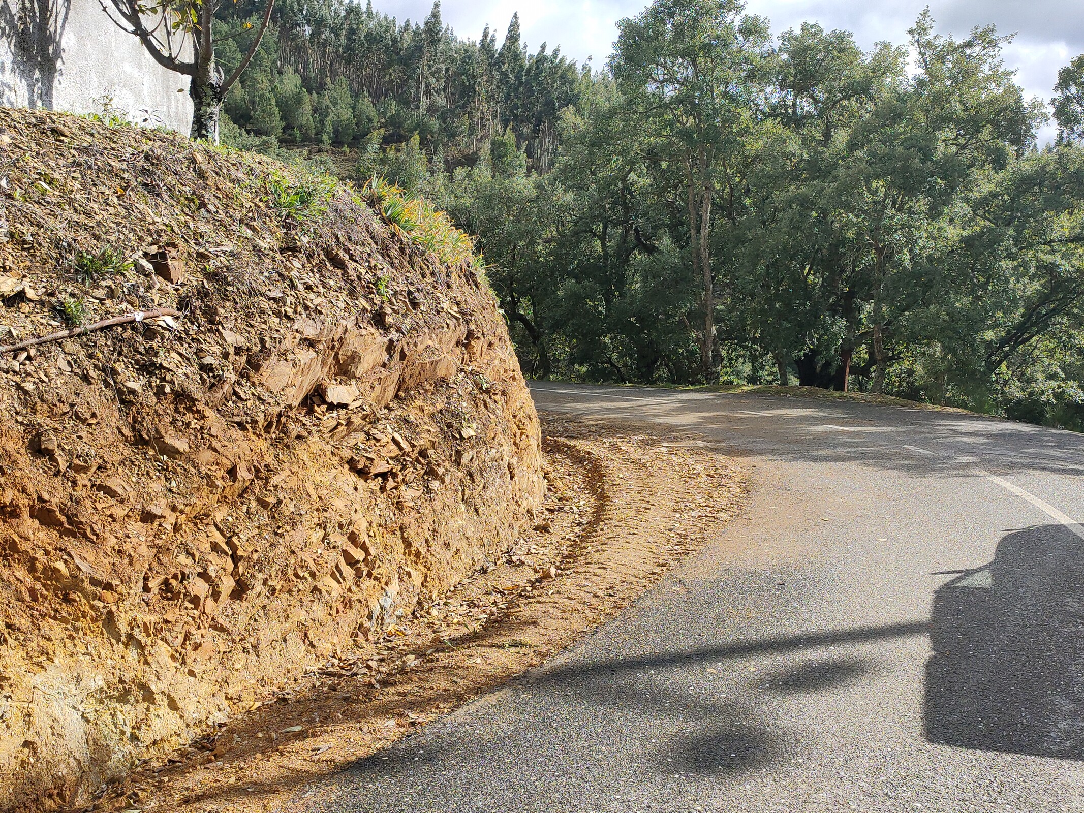 IMG20221118113357 (1)