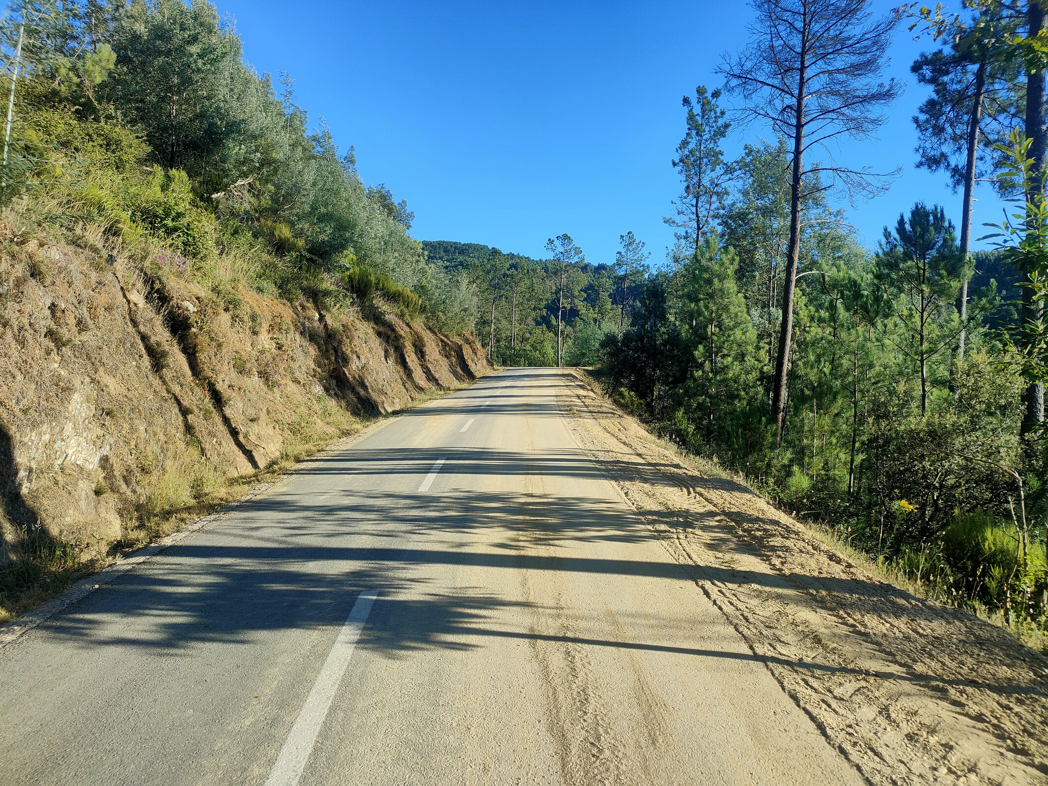 IMG20230713192939 (1)