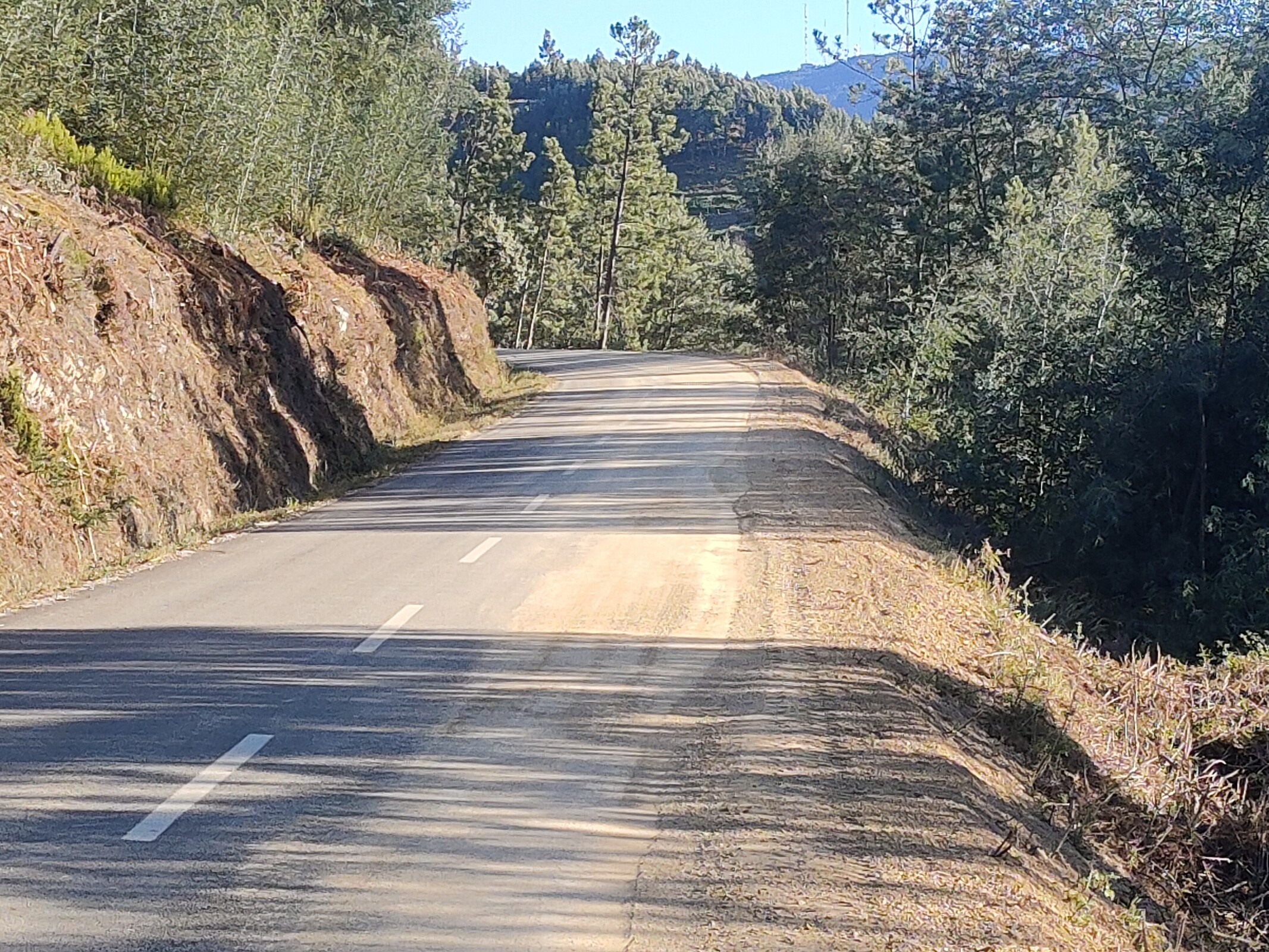 IMG20230713193254 (1)