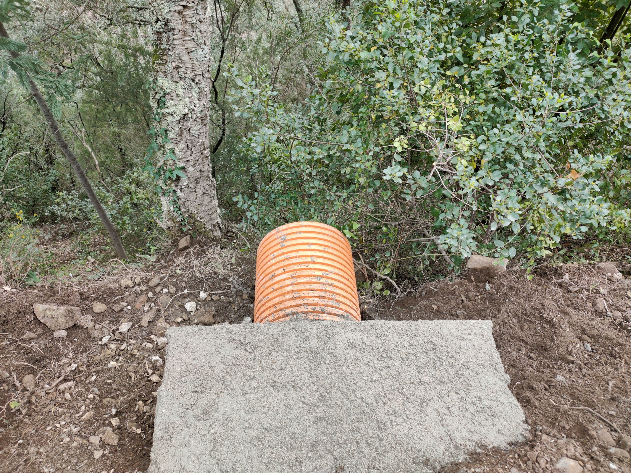 IMG20230308103635 (1)