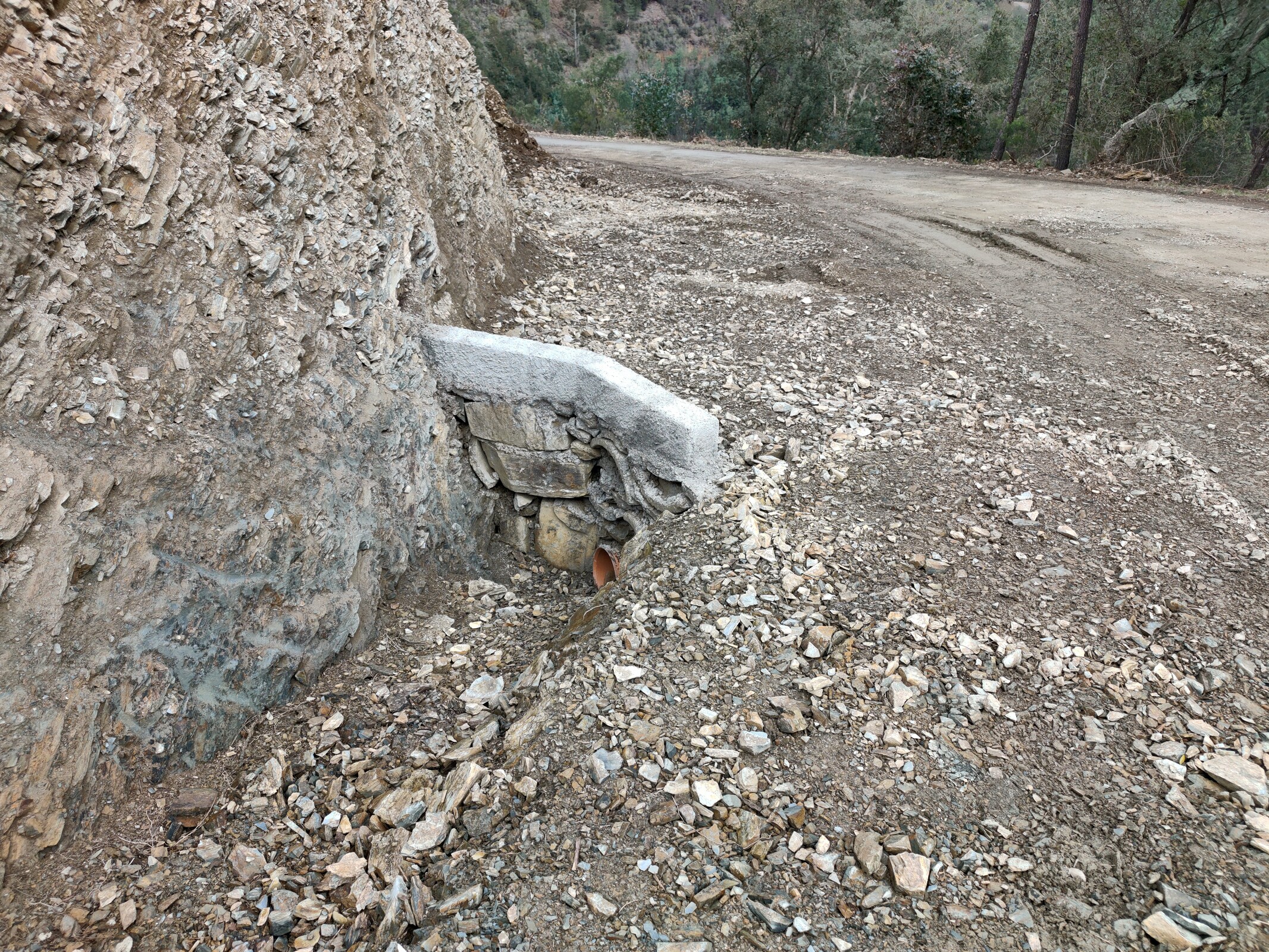 IMG20230308104257 (1)