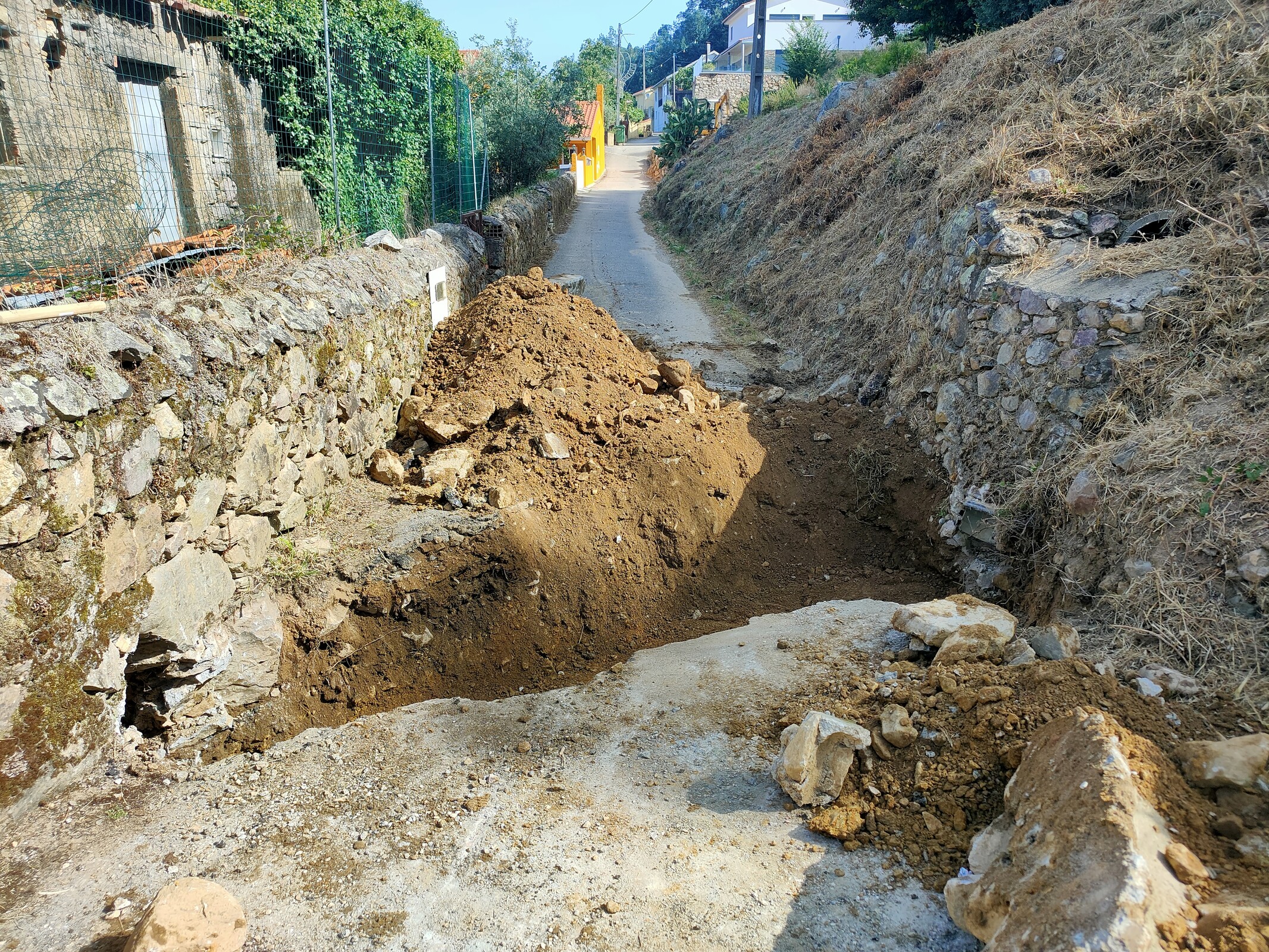 IMG20230718100111 (1)