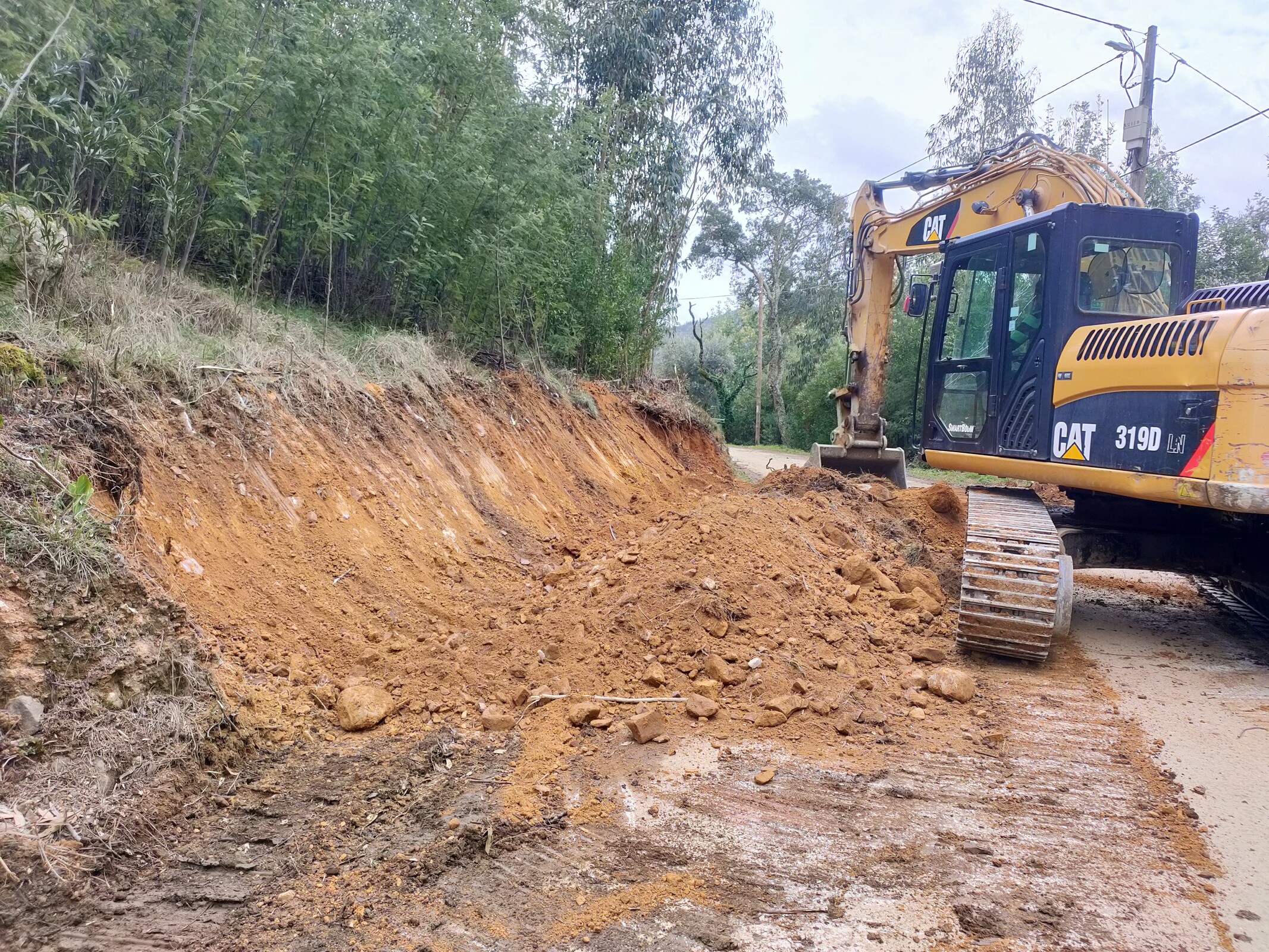 IMG20230307163654 (1)