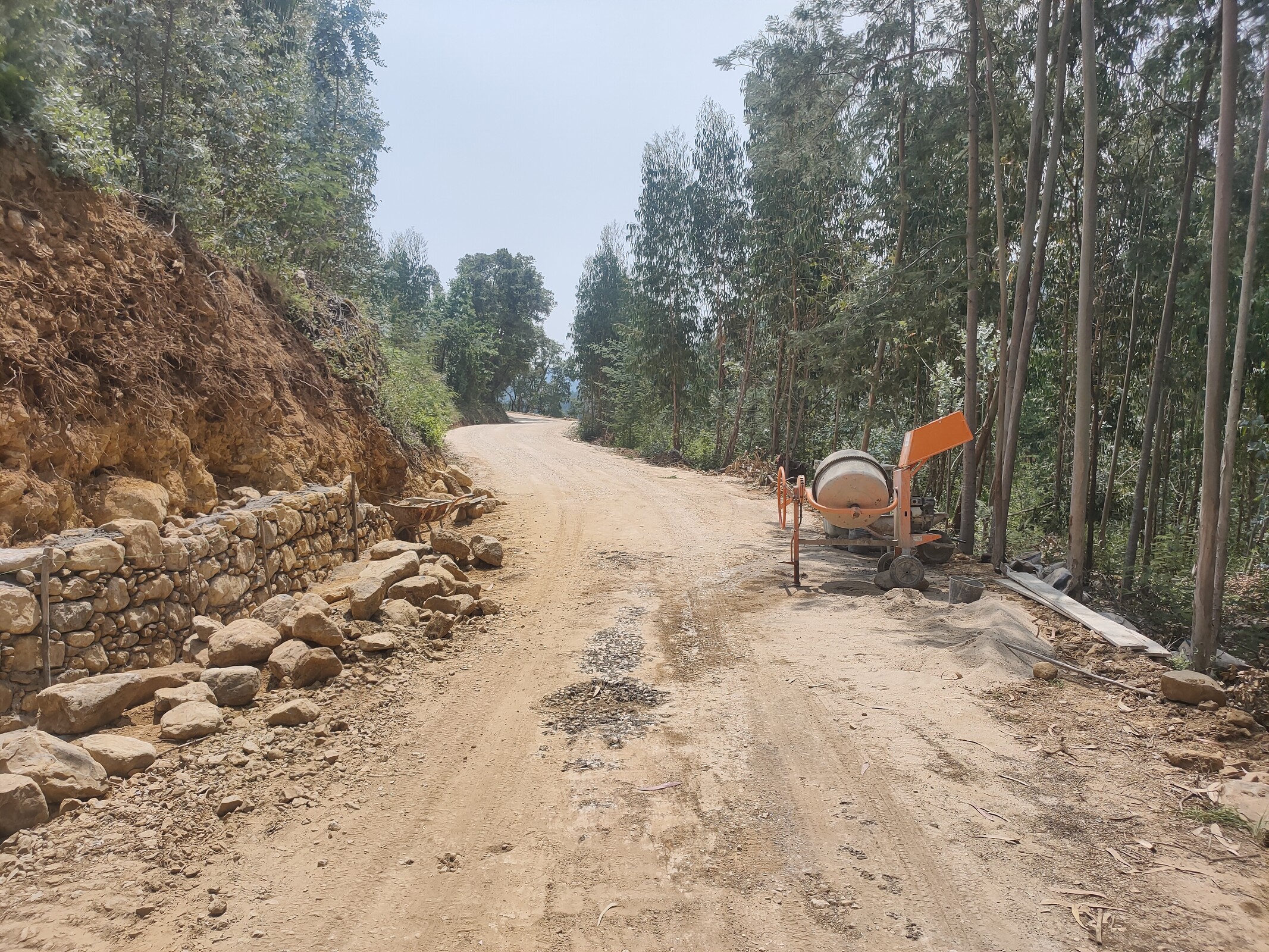 IMG20230628135232 (1)