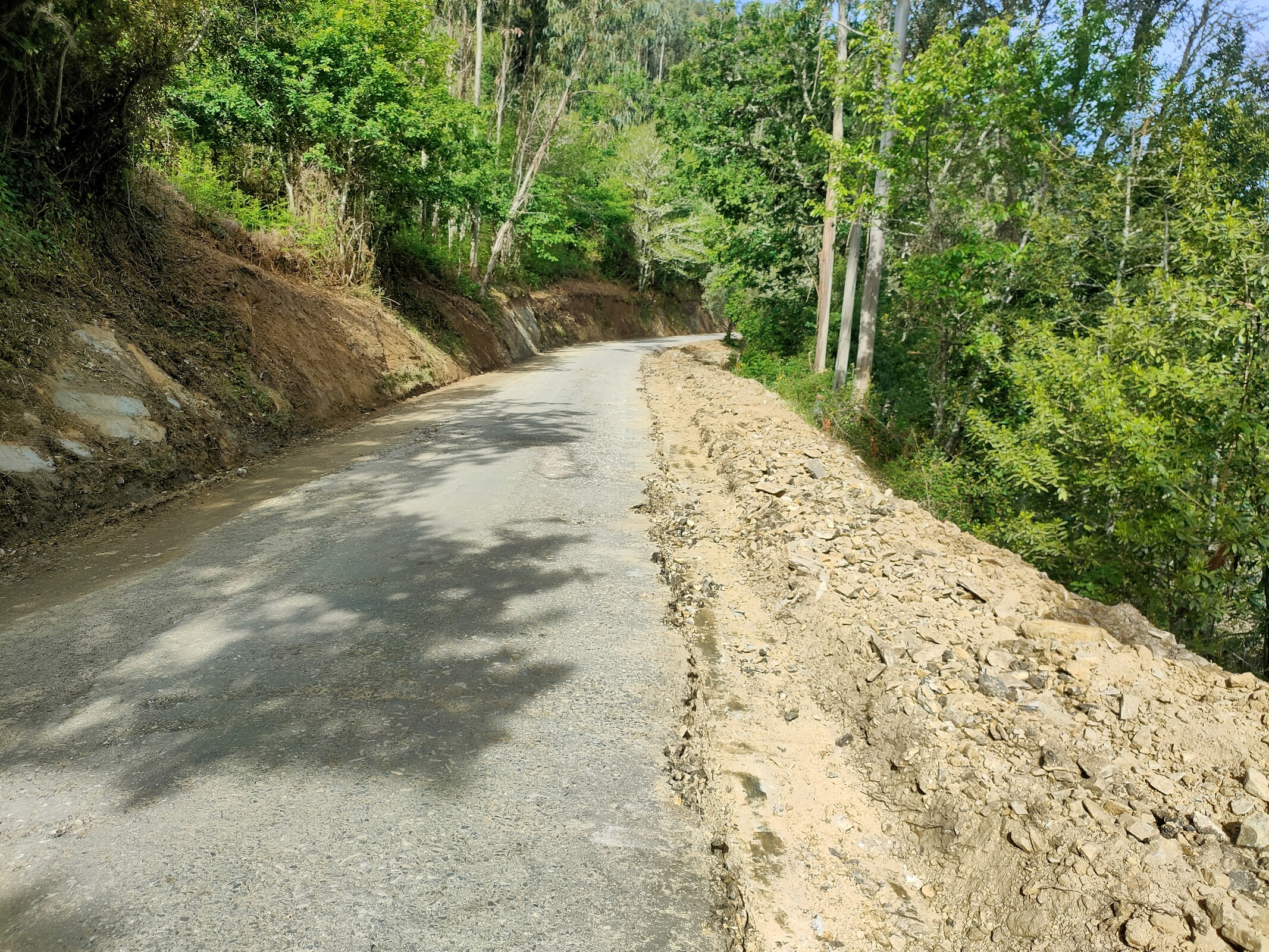 IMG20230427100826 (1)