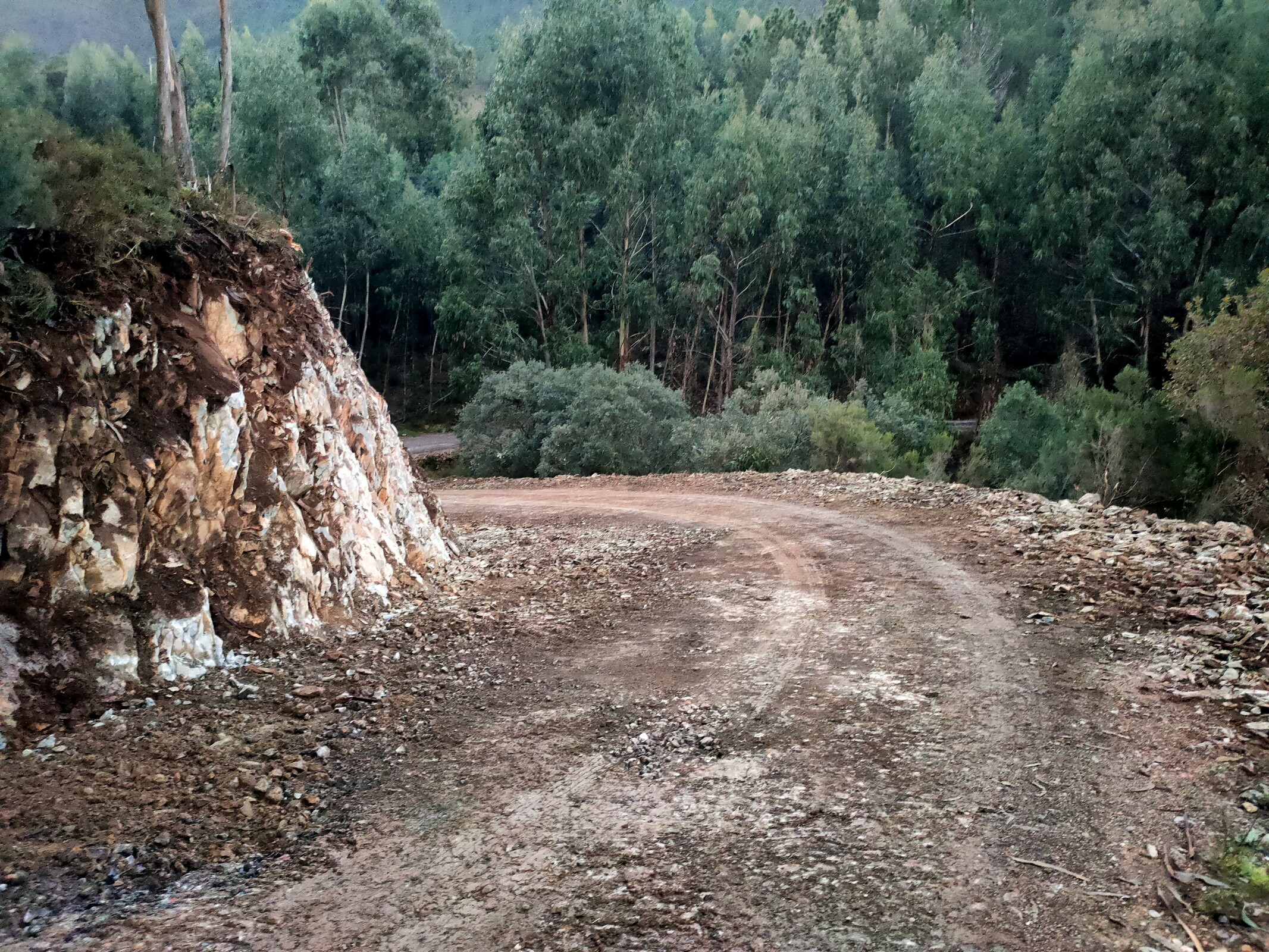 IMG20230111173729 (1)