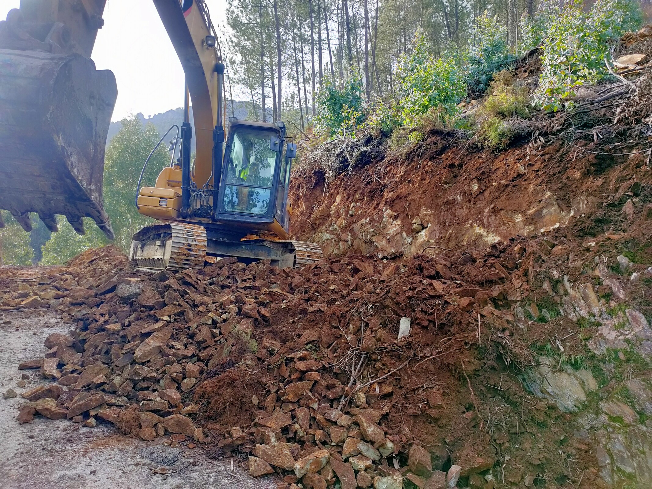 IMG20230112151024 (1)