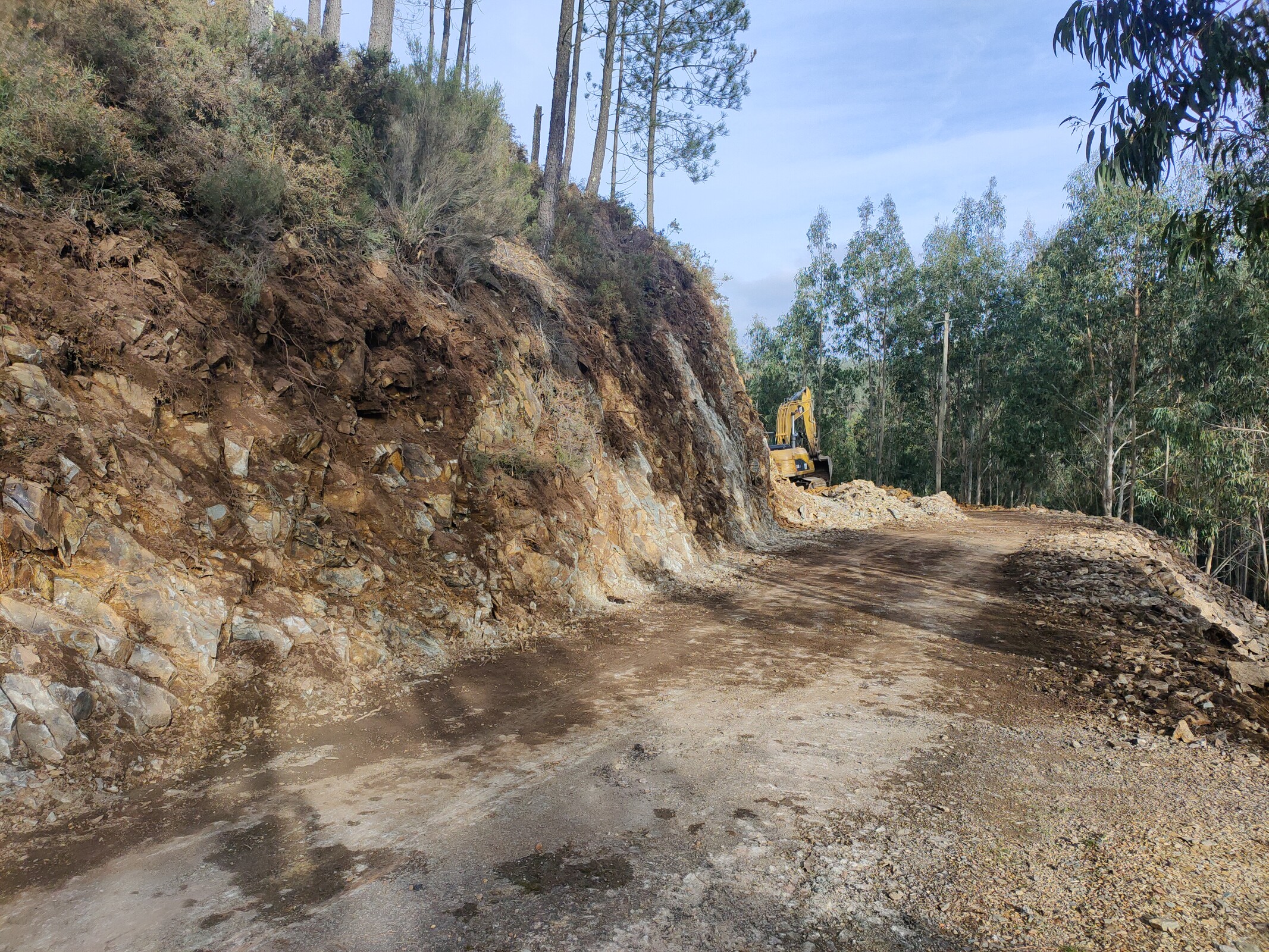 IMG20230112151131 (1)