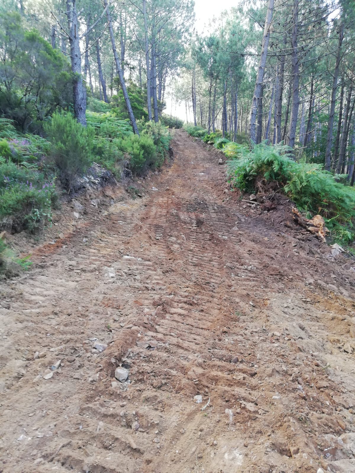 IMG-20230720-WA0004 (1)