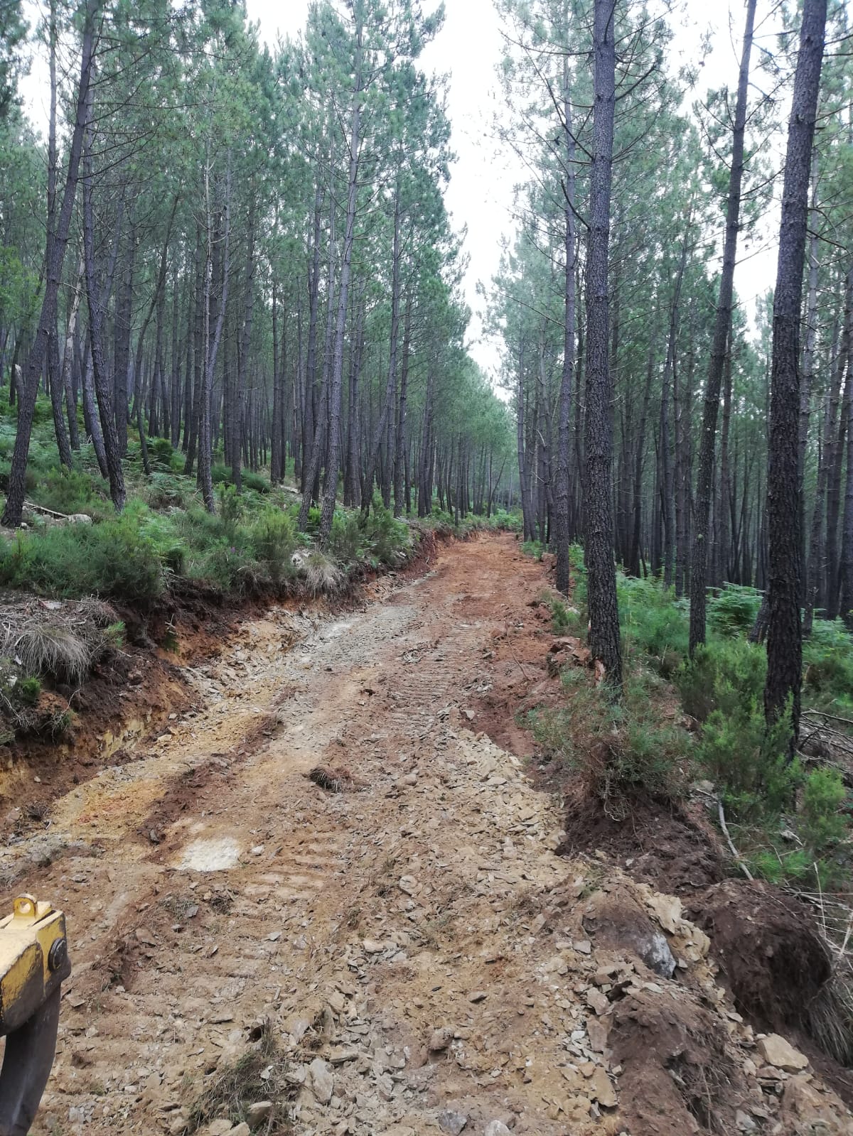 IMG-20230720-WA0012 (1)