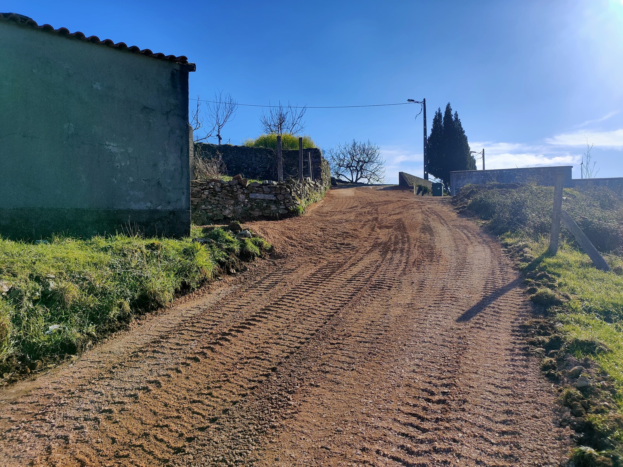 IMG20230301155425 (1)