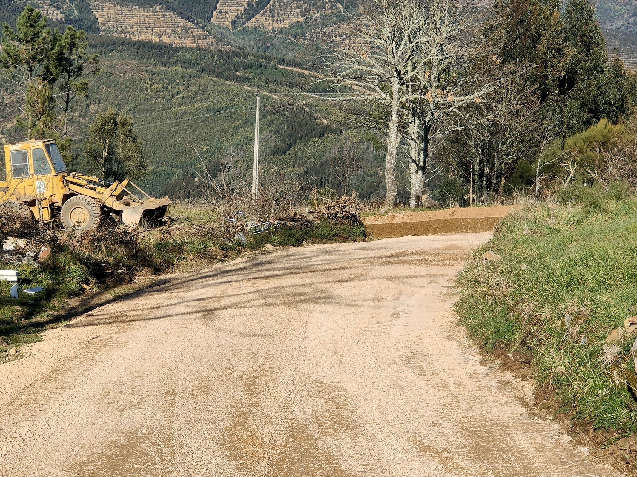 IMG20230301155510 (1)