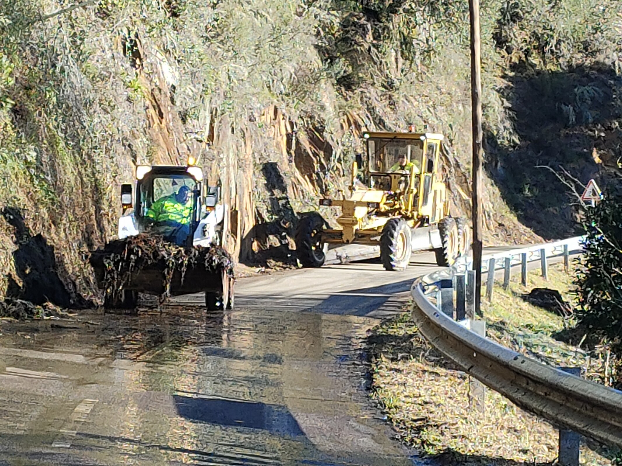 IMG20230201092140 (1)