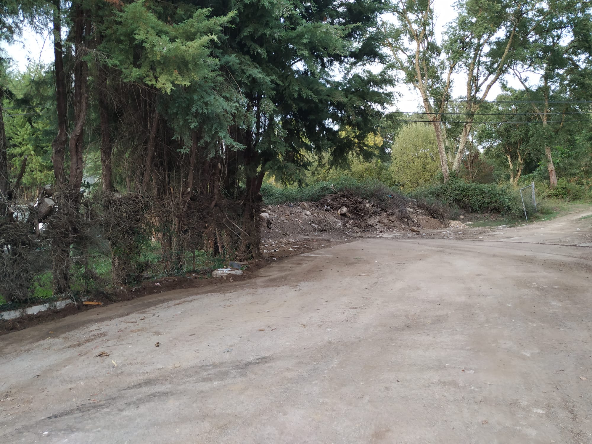 IMG-20221006-WA0003 (1)