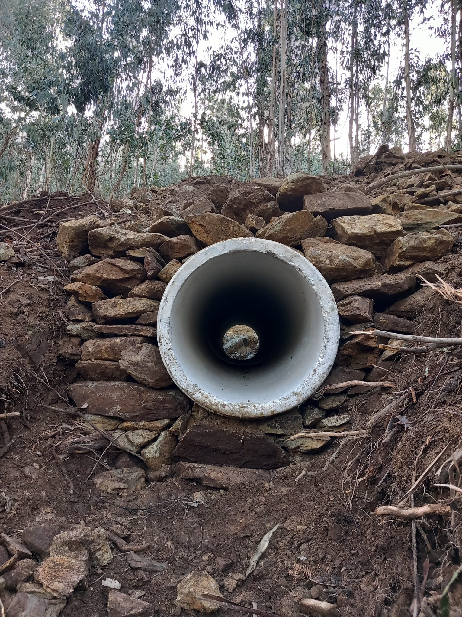 quinta das &aacute;guias (5)