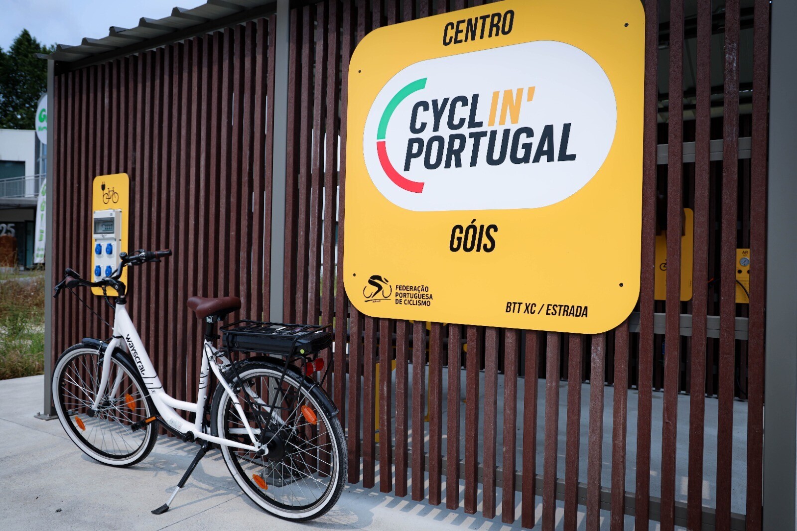 Cyclin G&oacute;is