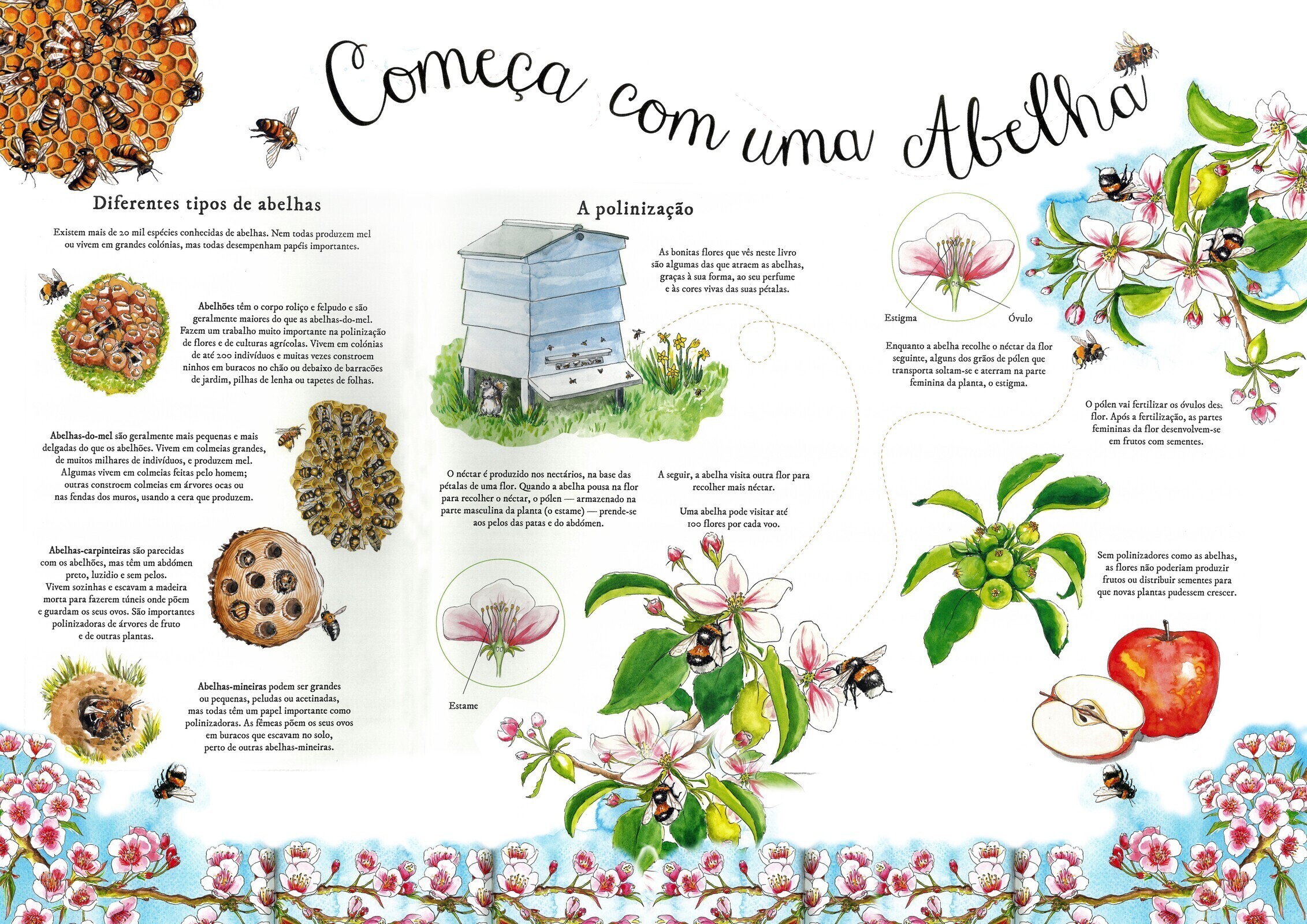 comeca_com_uma_abelha__ficha_com_informacao_cientifica__1_2500_2500